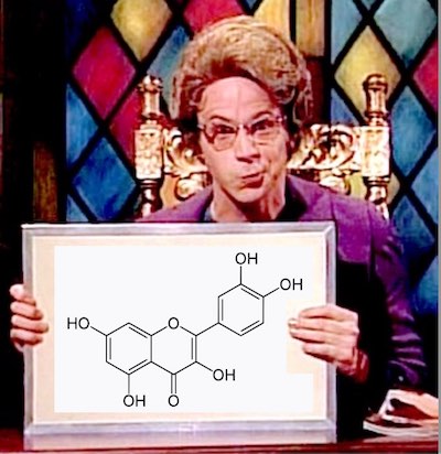 SNL Church Lady holds coincidence sign with quercetin molecule
